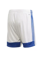 Pánske šortky Tastigo 19 M FI6355 - Adidas