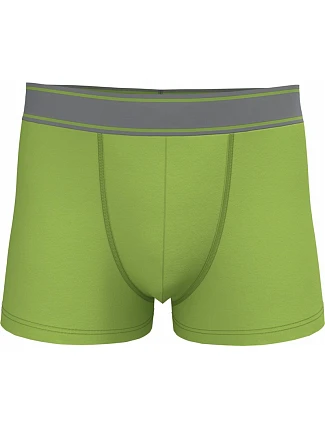 Kariban K 800 Pánske boxerky 20.K800 lime Kariban K 800 Pánske boxerky 20.K800 lime