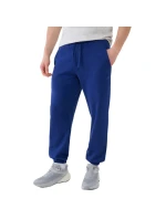 Nohavice 4F Cas M1139 M 4FWMM00TTROM1139 031S