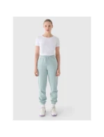 Dámske tričko s potlačou 4F 4FWMM00TTSHF1846-10S