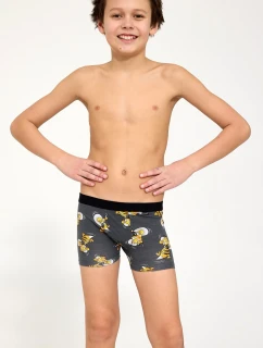 Boxerské šortky Cornette Young Boy 700/156 Hornet 2 134-164