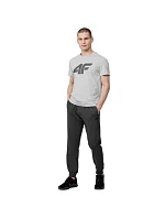 Pánske tričko M H4Z22 TSM353 27M - 4F Pánske tričko M H4Z22 TSM353 27M - 4F