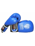 Boxerské rukavice MASTERS RBT-A (ZMENA CENY)