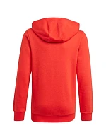 Detská mikina Essentials Big Logo Hoodie Jr GN4037 - Adidas Detská mikina Essentials Big Logo Hoodie Jr GN4037 - Adidas