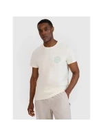 Pánske tričko s potlačou 4F 4FWSS25TTSHM1980-11S