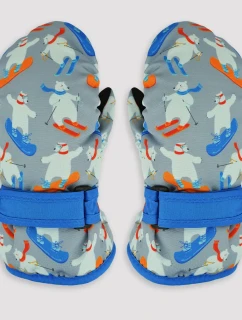 LYŽIARSKE RUKAVICE RN041