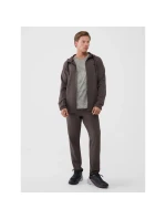 Pánske rýchloschnúce tréningové nohavice 4F 4FWSS25TFTRM0781-81S