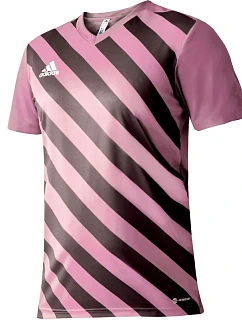 Adidas Entrada 22 Graphic Jersey M HC2633 muži