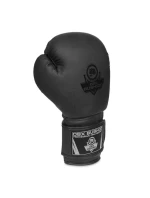 Boxerské rukavice 10oz - Black Master - Valor Series