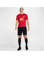 Tričko Nike Liverpool FC Academy Pro SStop M FN9653-688 Tričko Nike Liverpool FC Academy Pro SStop M FN9653-688