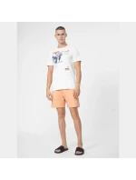 Pánske šortky M 4FSS23TSHOM074 64S - 4F
