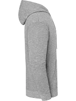 Fruit of the Loom Iconic 250 Mikina s kapucňou 16.2294 athletic heather Fruit of the Loom Iconic 250 Mikina s kapucňou 16.2294 athletic heather