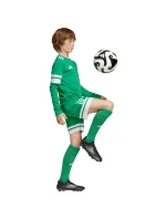 Adidas Squadra 25 detské tričko s dlhým rukávom zelené JN7491