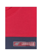 Pánske tričko s potlačou 4F 4FRAW25TTSHM3292-31S