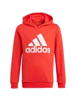 Detská mikina Essentials Big Logo Hoodie Jr GN4037 - Adidas Detská mikina Essentials Big Logo Hoodie Jr GN4037 - Adidas