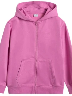 Mikina 4F Jr 4FJWAW25TSWSF1952 54S