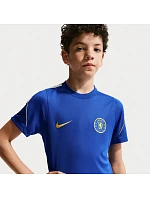 Tričko Nike Chelsea FC Strike SS Top II 2674-452