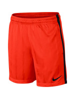 Pánske šortky Dry Squad Jacquard 870121-852 - Nike