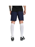Pánske šortky Puma Team Goal navy blue 705752 06