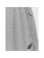 Pánske tepláky typu jogger 4F 4FRMM00TTROM1624-27M