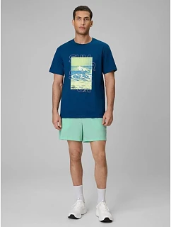 Pánske plážové šortky boardshorts 4F 4FRSS26UBDSM229-33S